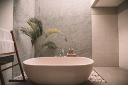 Bathtub next to a house plant in a luxurious bathroom